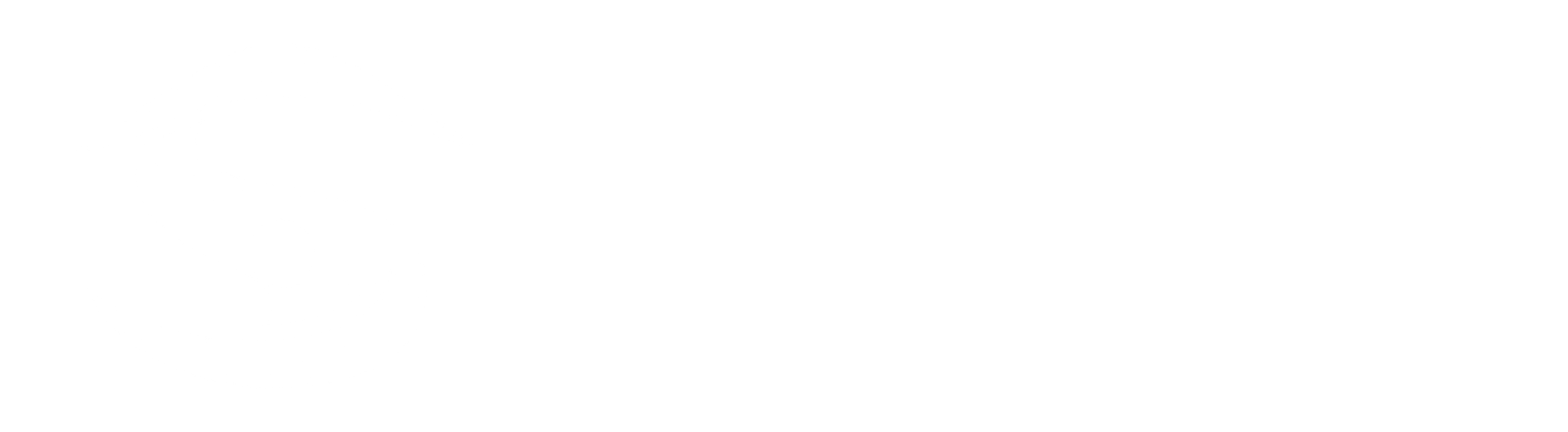 Senichron
